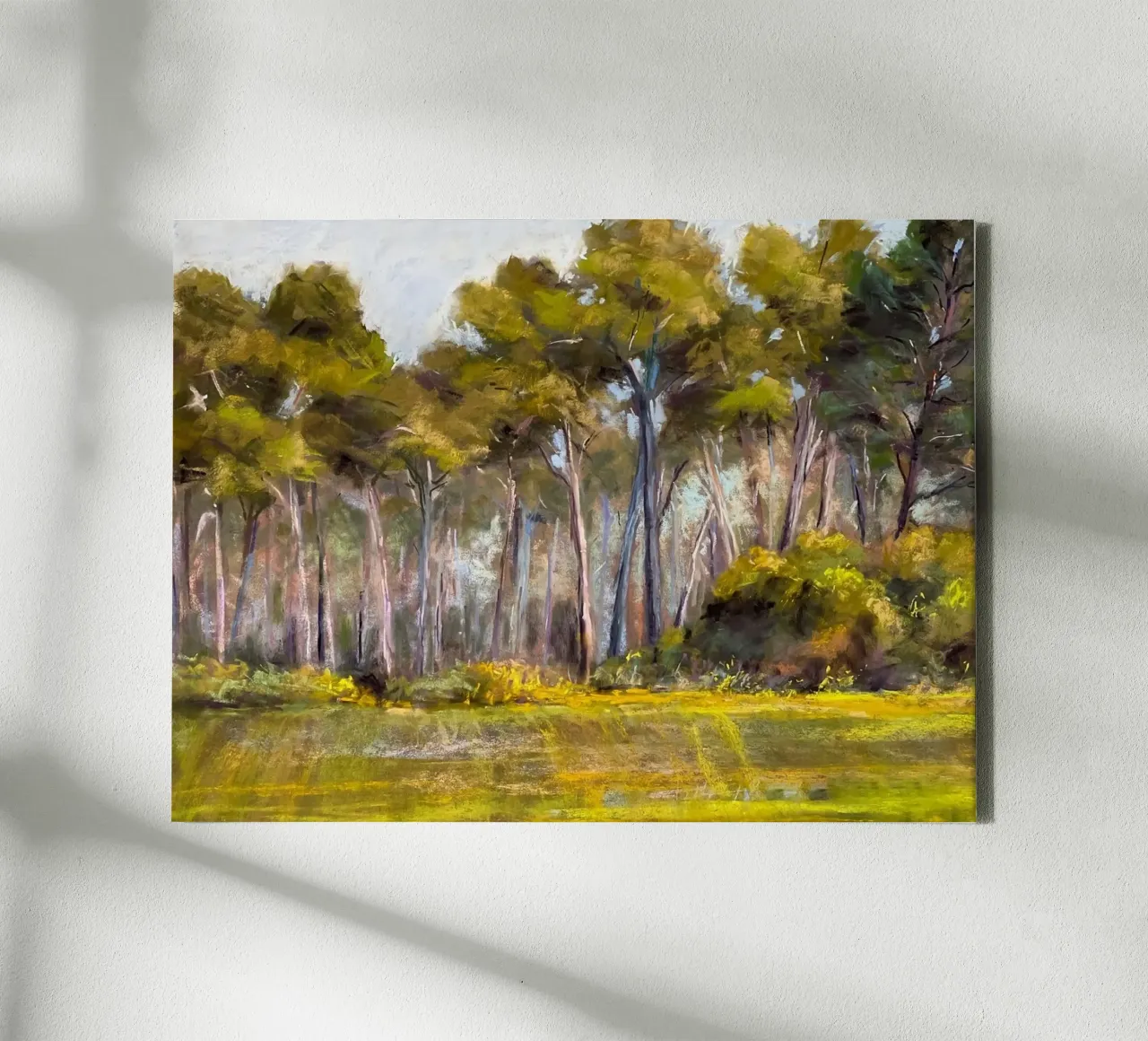 alberi della foresta tela con Cornice a cassetta da Karl Martin