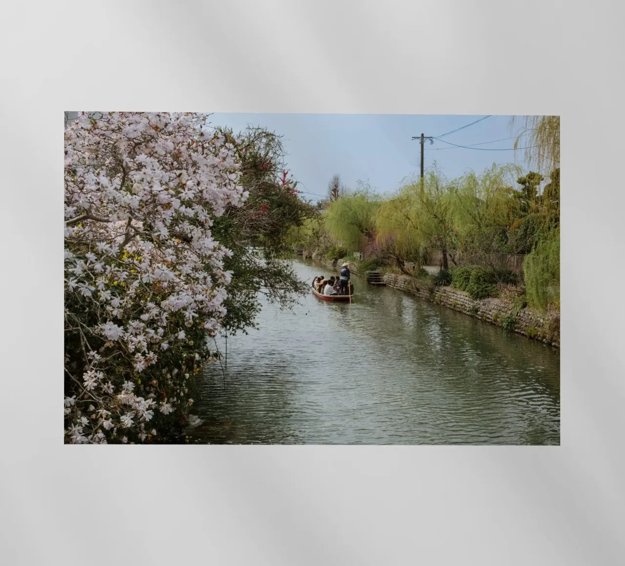 Canale dei ciliegi in fiore a Yanagawa, Giappone pellicola backlit da Marcel Bisig