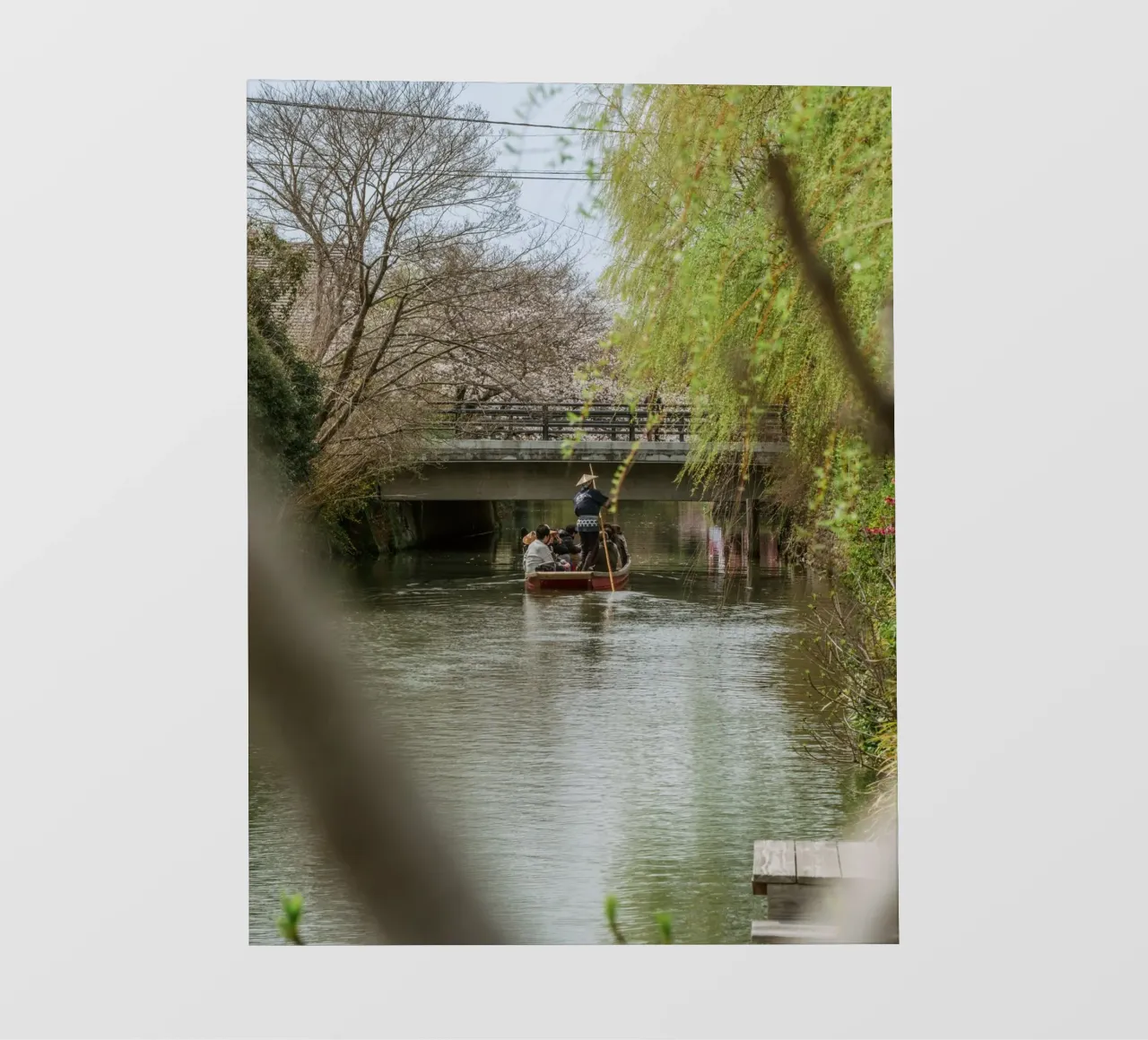 Il fiume dei ciliegi in fiore a Yanagawa, Giappone telo in pvc da Marcel Bisig