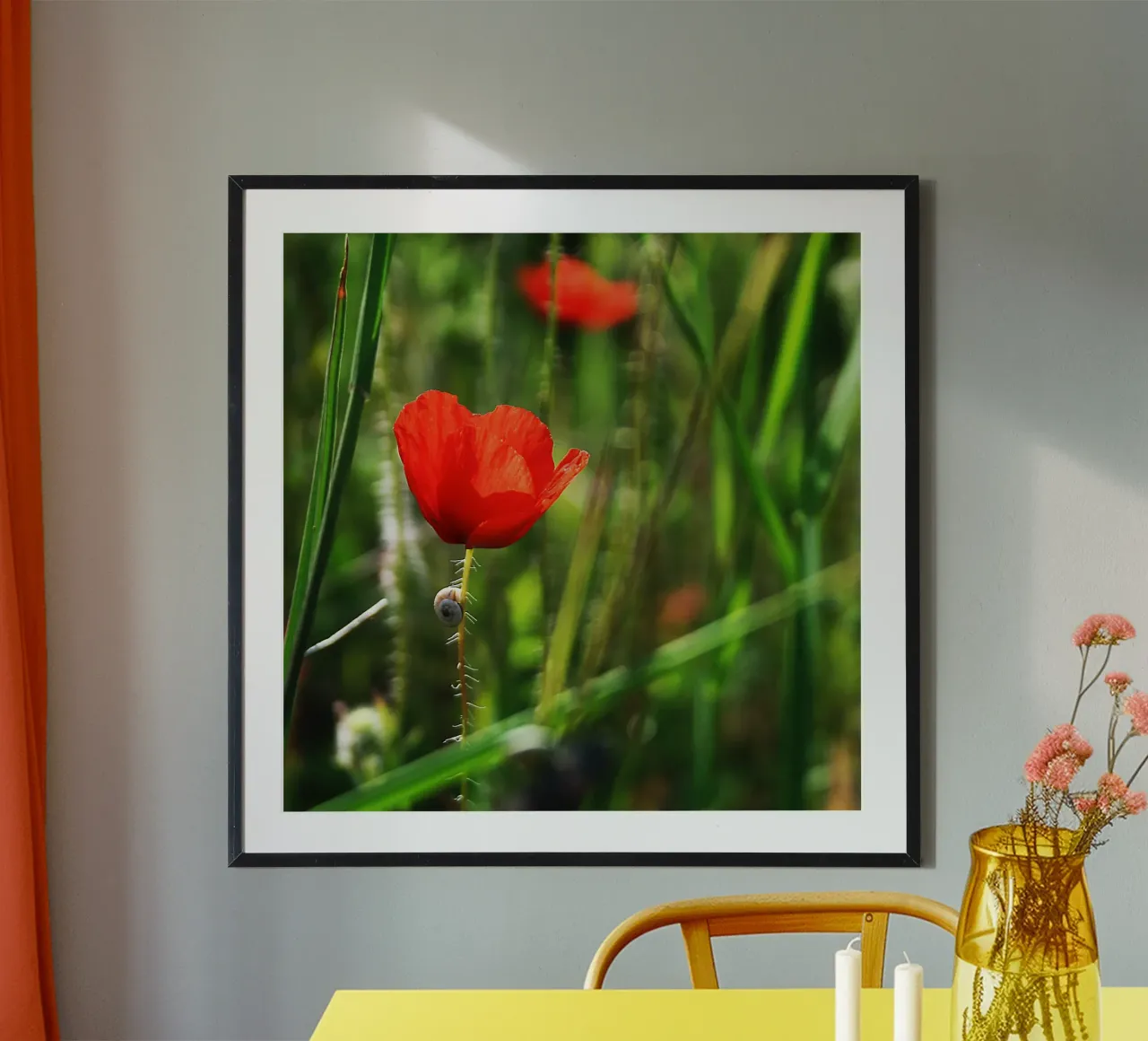 Papavero e lumaca - Stampa fotografica botanica della natura poster da jay