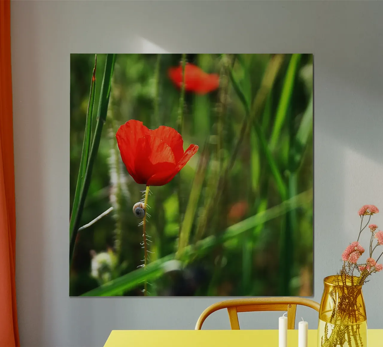 Papavero e lumaca - Stampa fotografica botanica della natura poster da jay