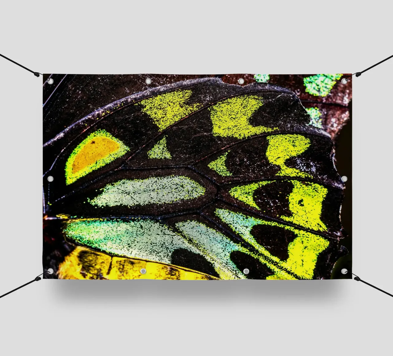 ala di farfalla telo in pvc da Earthly Visions