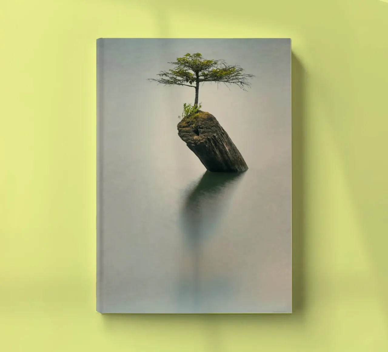 tree rock notebook by Earthly Visions