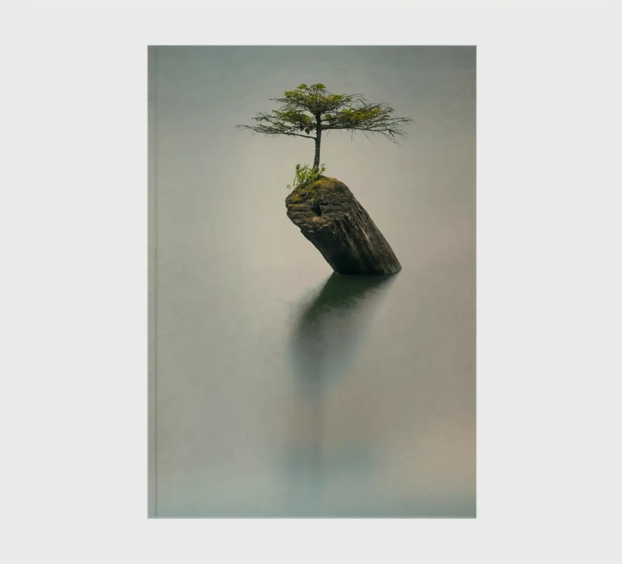 tree rock notebook by Earthly Visions