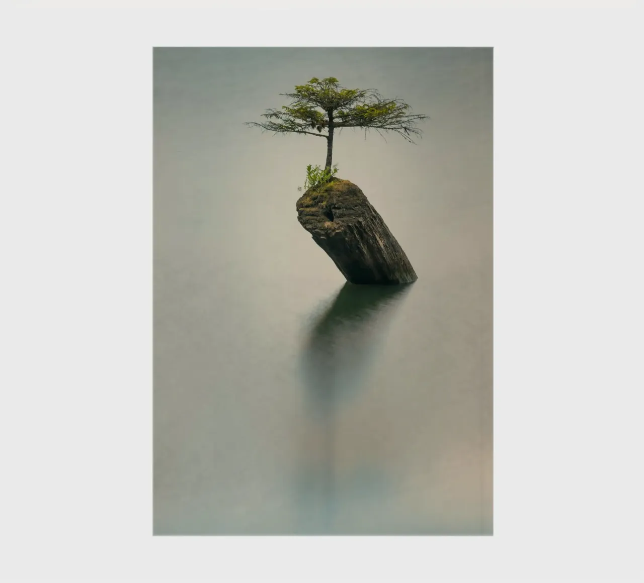 tree rock notebook by Earthly Visions