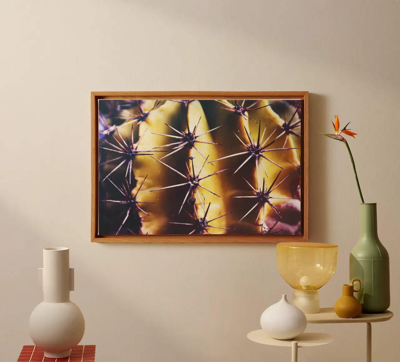Cactus close-up - Minimal Nature Photography Print canvas met Baklijst van jay
