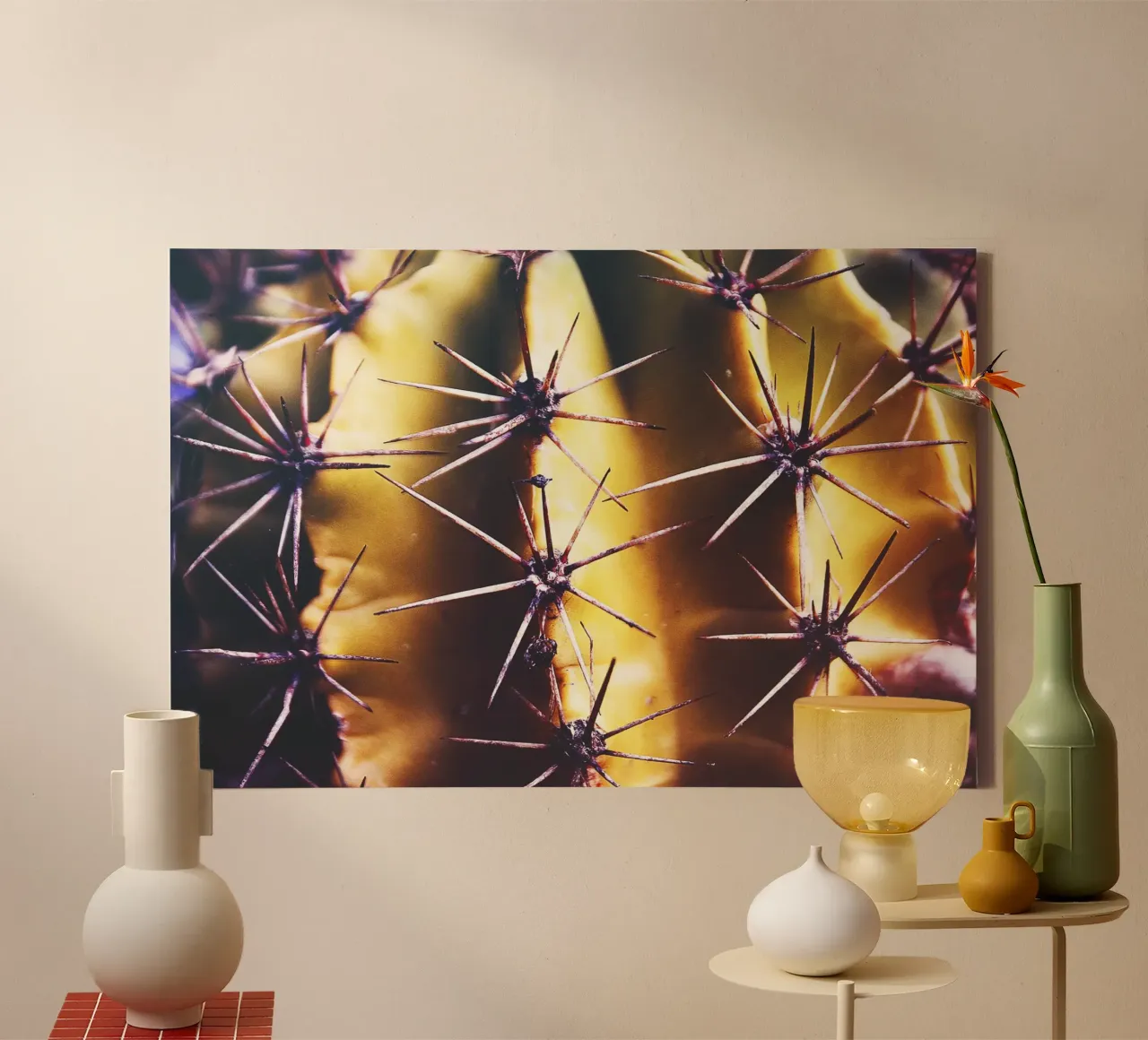 Cactus close-up - Minimal Nature Photography Print canvas met Baklijst van jay