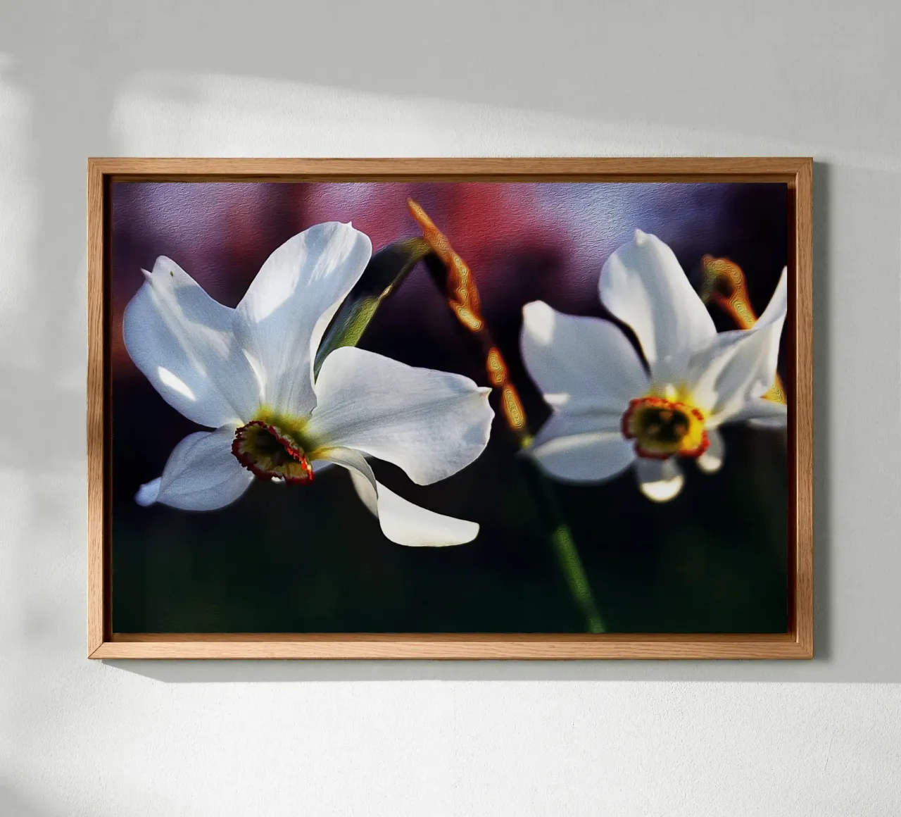 White Daffodils in Soft Focus – Painterly Floral Art Print canvas with Floater frame by jay