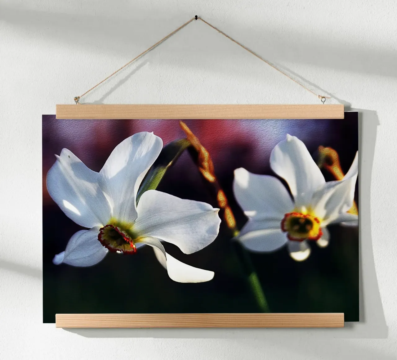 Witte narcissen in zachte focus - Schilderachtige bloemenprint poster met aluminium frame van jay
