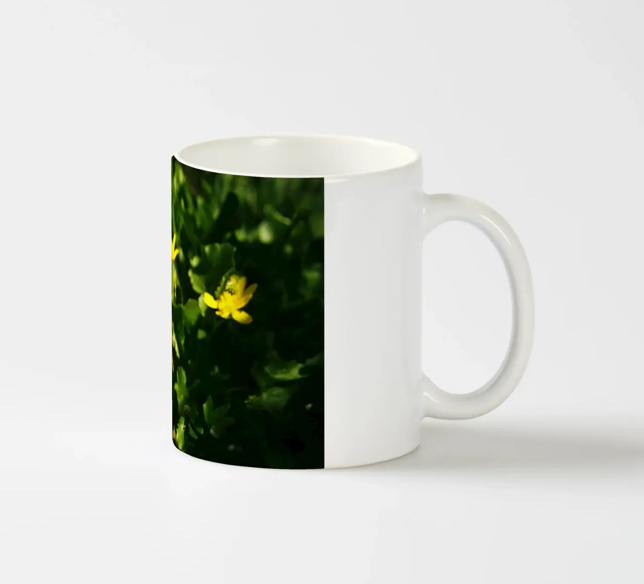 Fiori di campo gialli e vaso caduto - Racconto botanico tazza in ceramica da jay