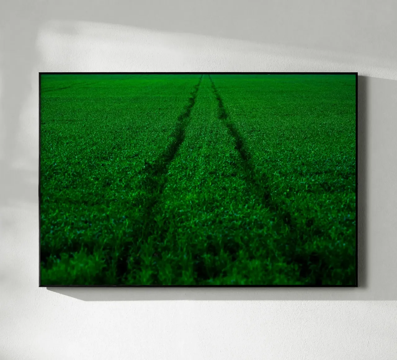 Athlétisme plexiglas de Tal Paz-Fridman