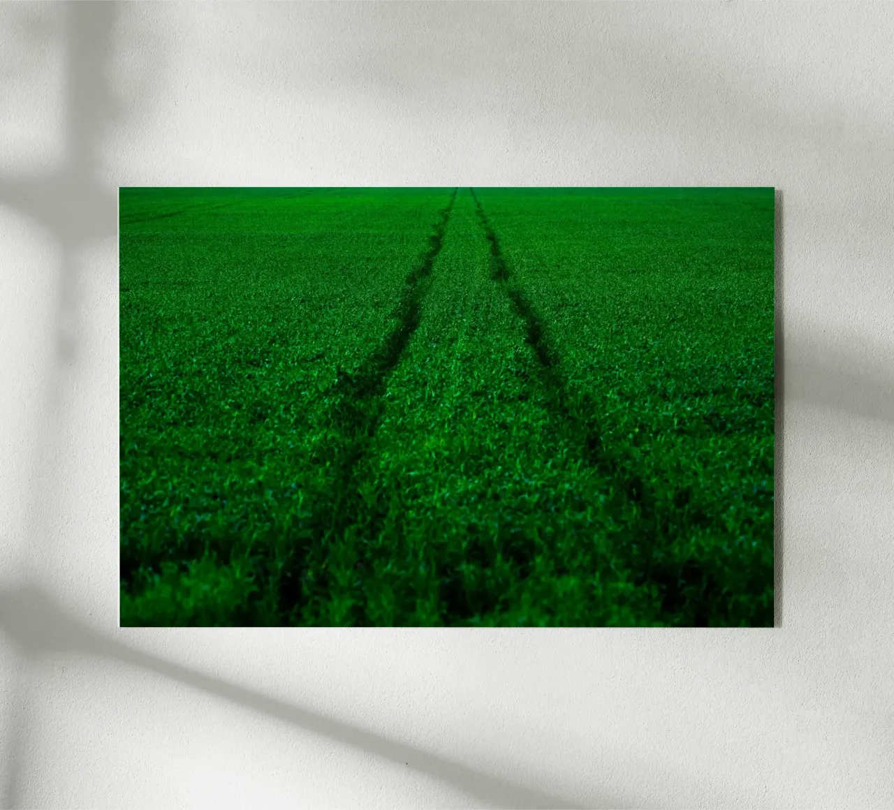 Athlétisme plexiglas de Tal Paz-Fridman