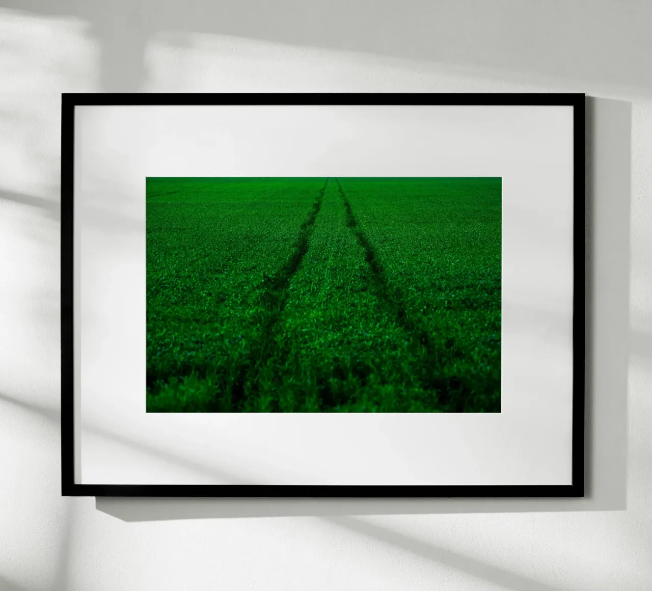 Track and Field hahnemühle by Tal Paz-Fridman