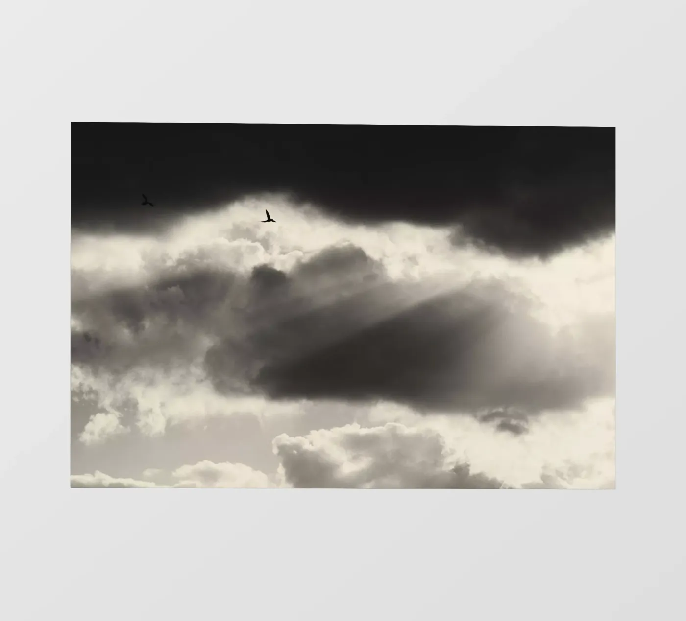 Two photo wallpaper by Tal Paz-Fridman