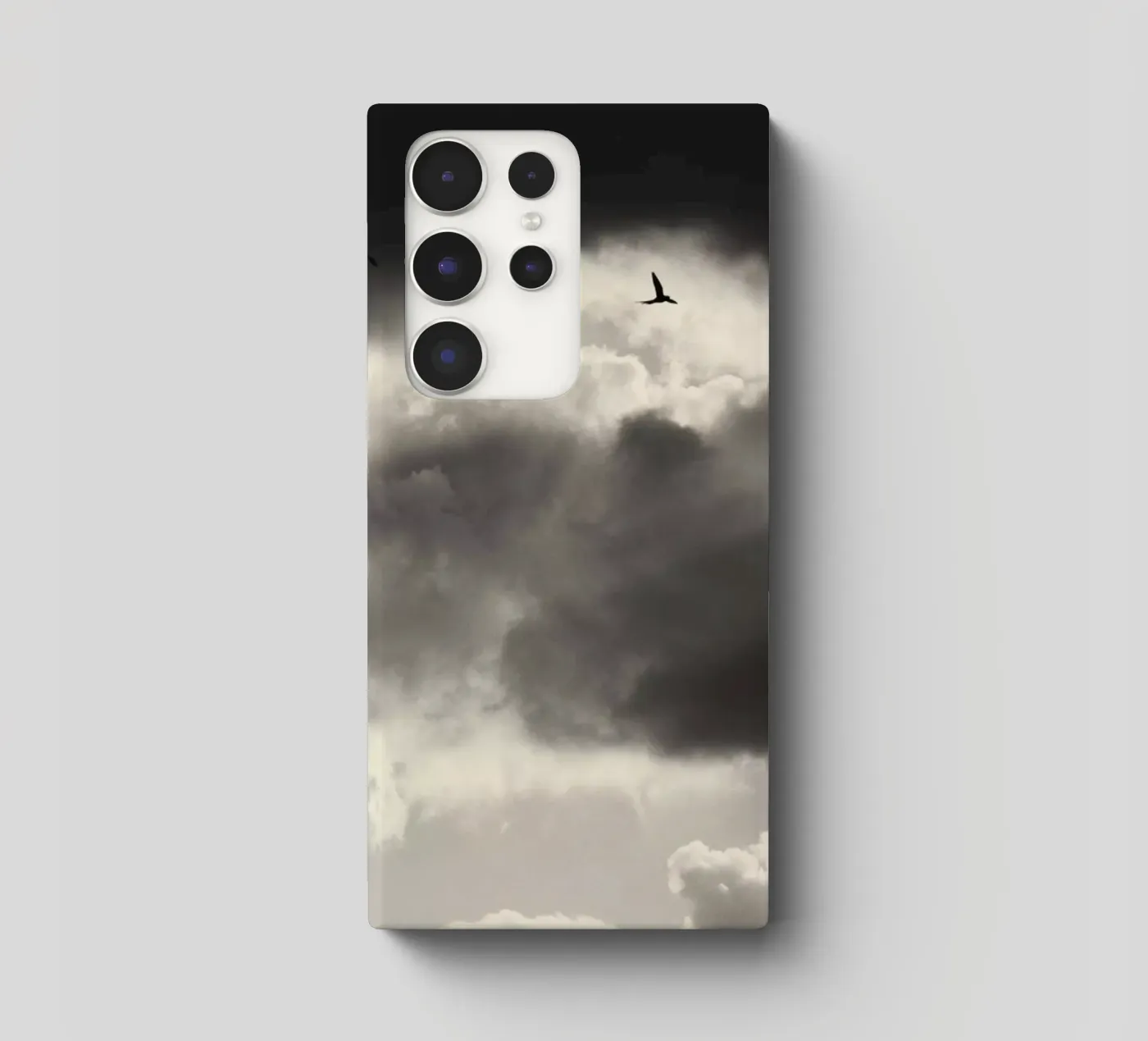 Due cover samsung da Tal Paz-Fridman