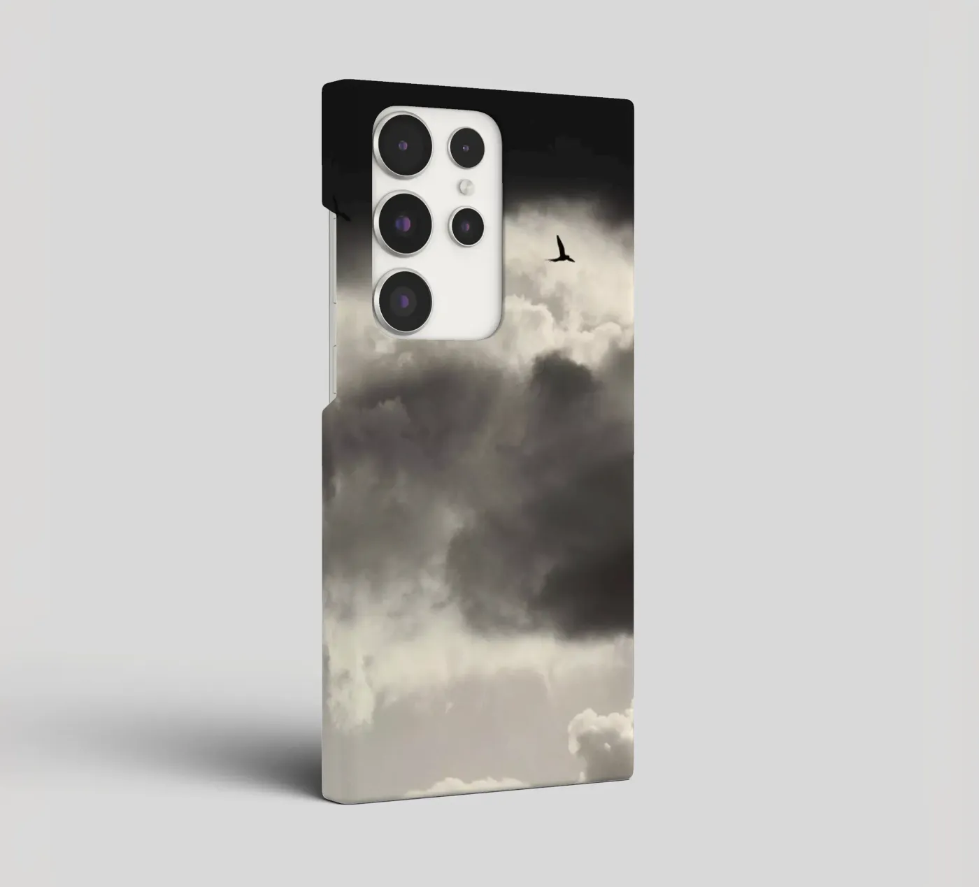 Due cover samsung da Tal Paz-Fridman