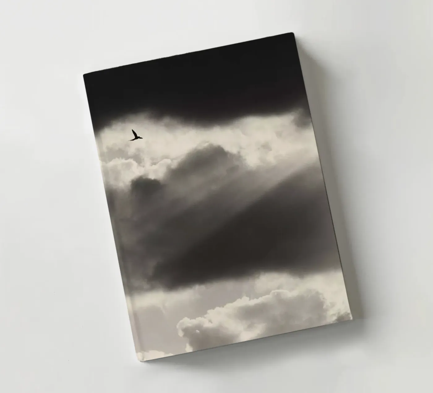 Two notebook by Tal Paz-Fridman