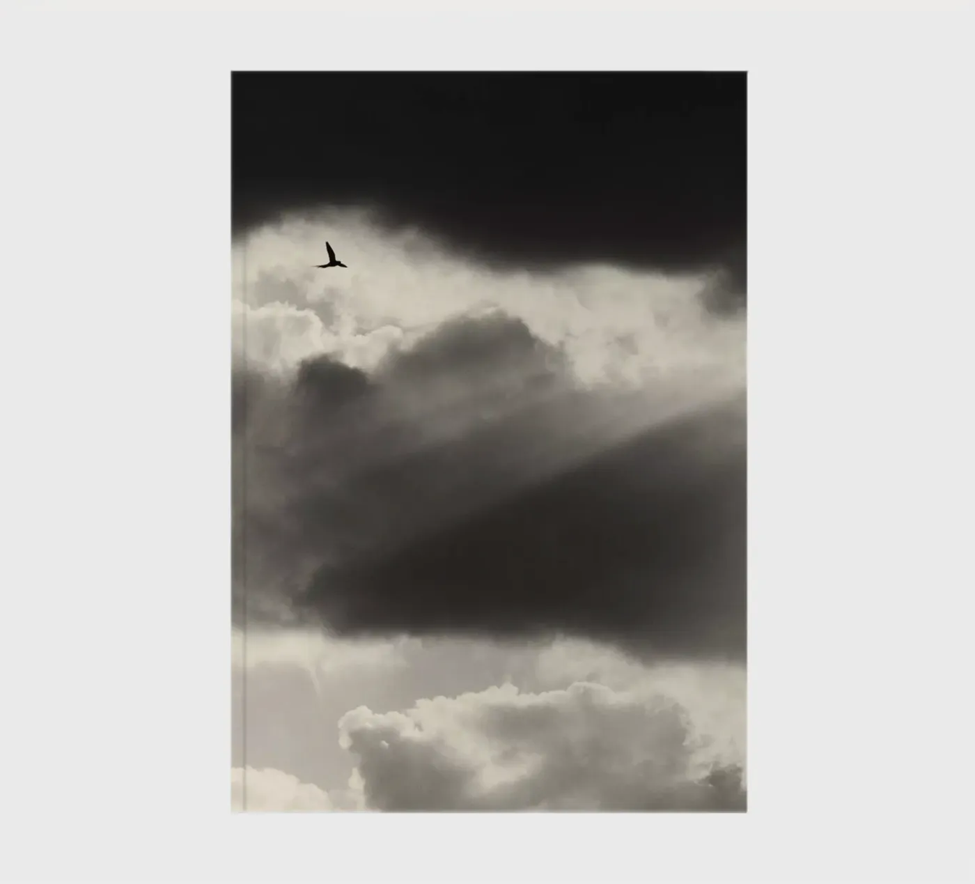 Two notebook by Tal Paz-Fridman