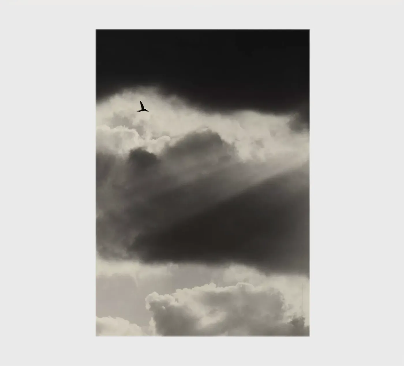 Two notebook by Tal Paz-Fridman