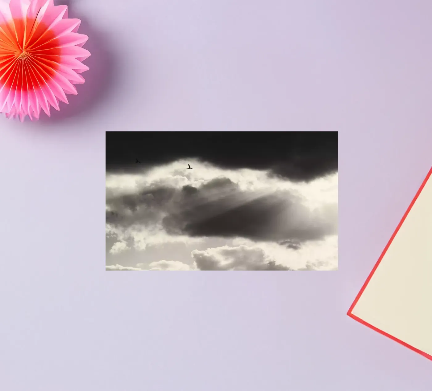 Twee sticker van Tal Paz-Fridman