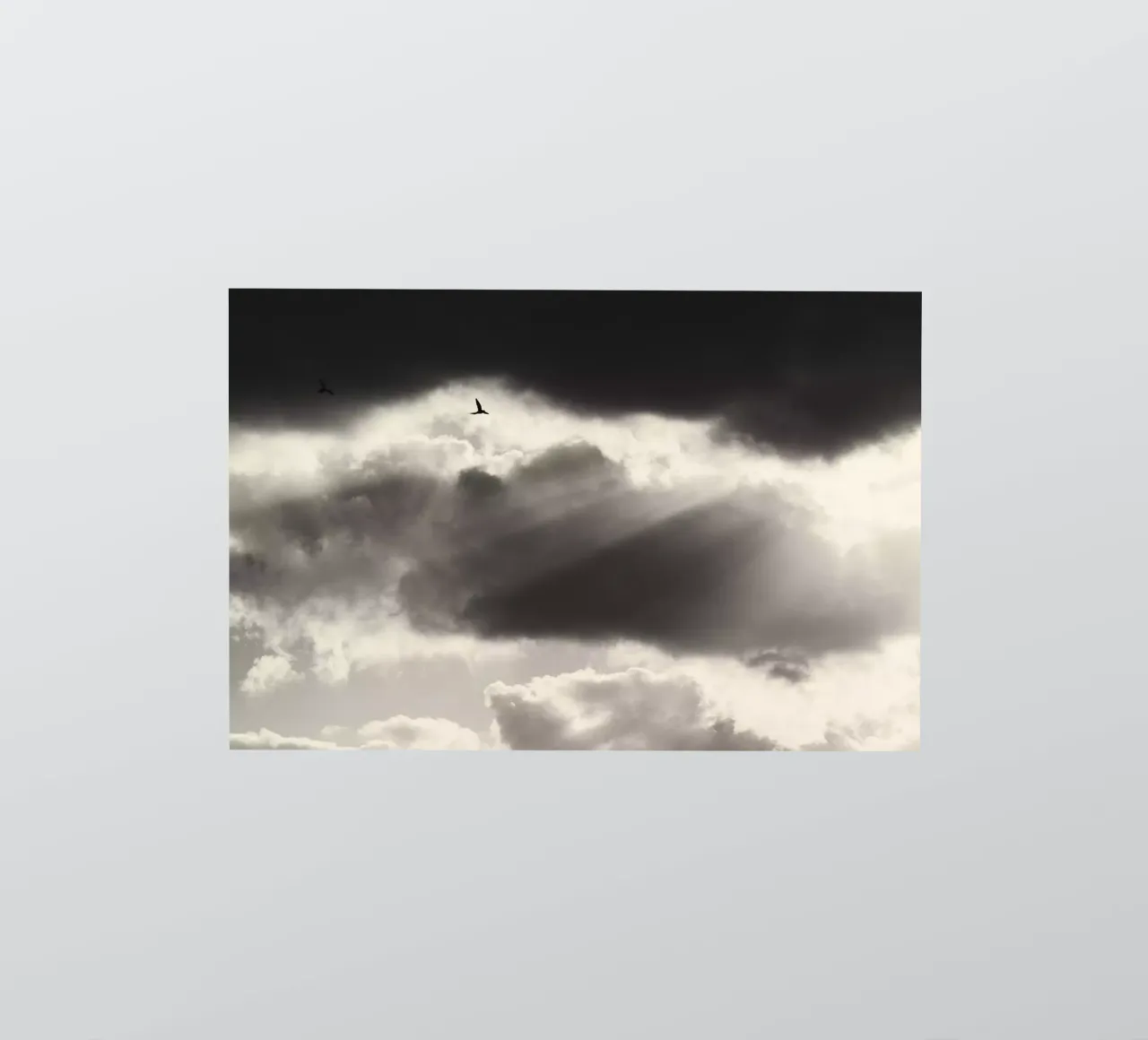 Two sticker by Tal Paz-Fridman