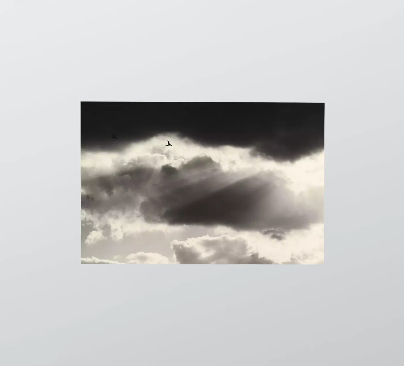 Twee sticker van Tal Paz-Fridman