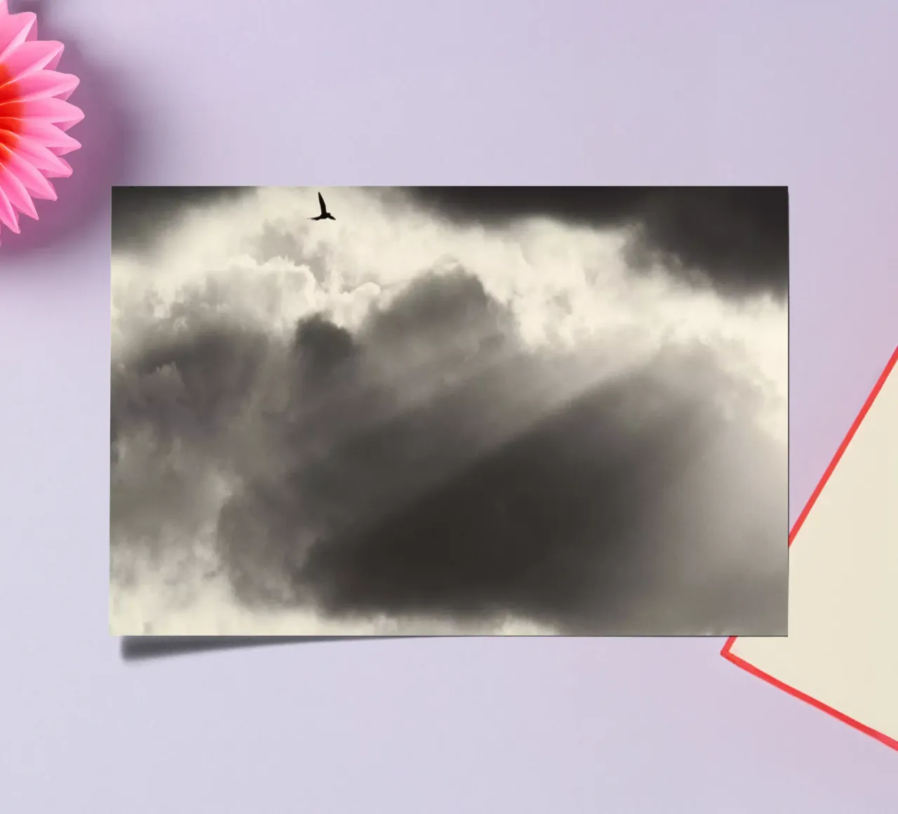 Two sticker sheet by Tal Paz-Fridman