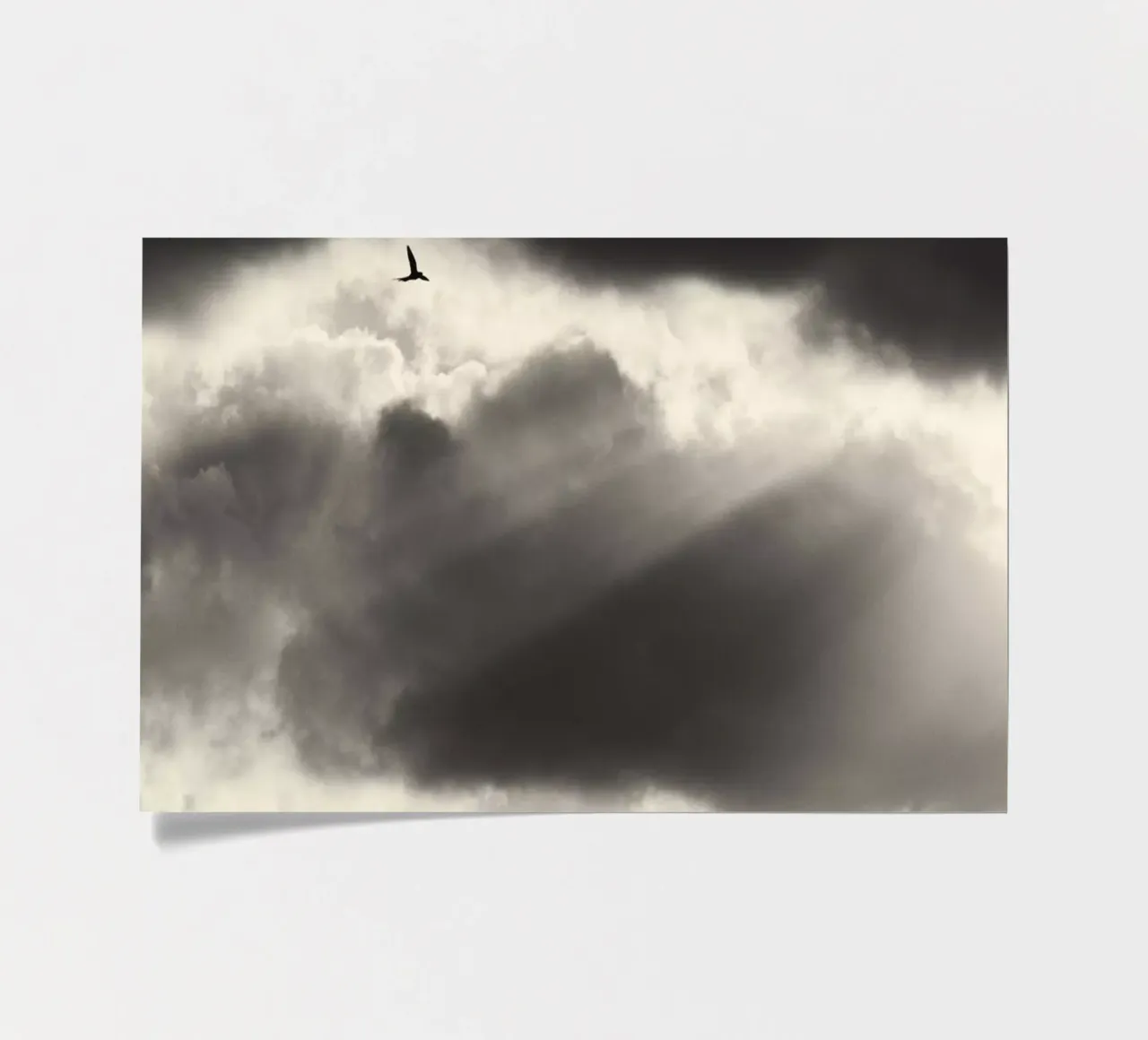 Two sticker sheet by Tal Paz-Fridman