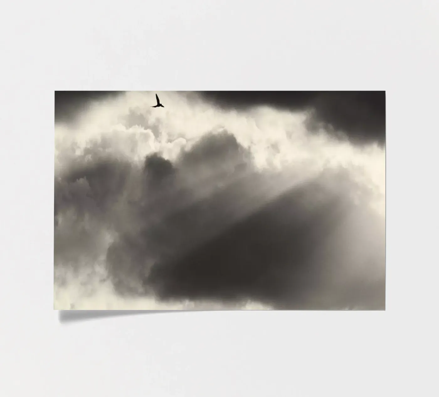 Zwei Stickerbogen von Tal Paz-Fridman