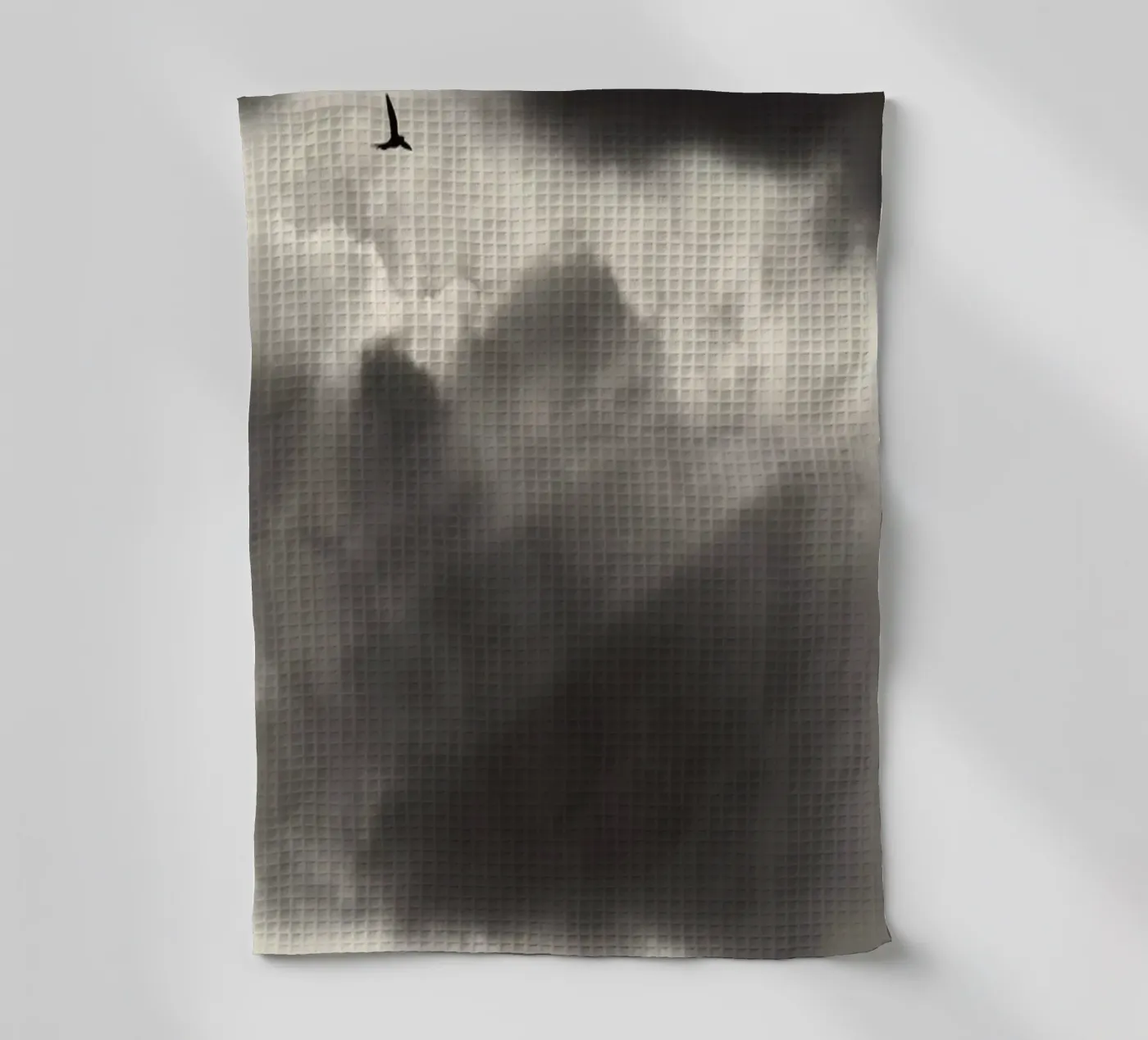 Deux torchon de Tal Paz-Fridman