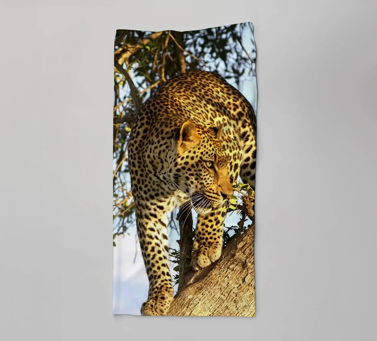 Silent Predator towel by Nature's Palette