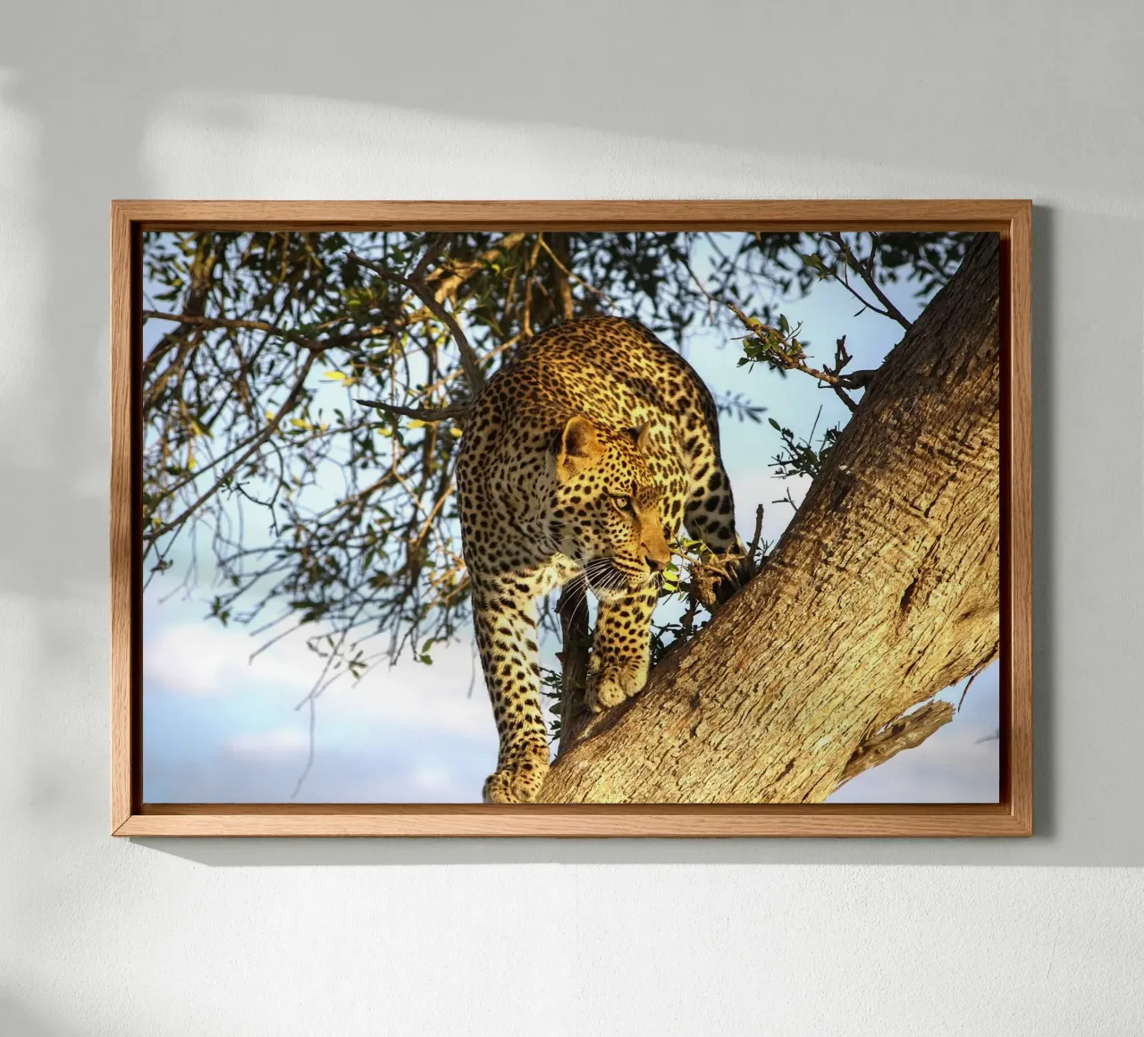 Stille rover canvas met Baklijst van Nature's Palette