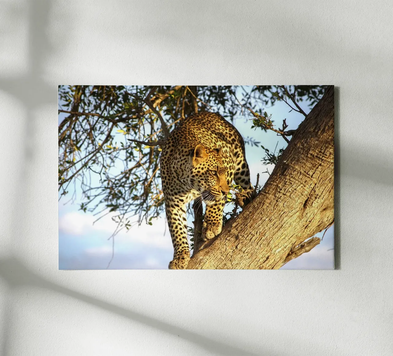 Stille rover canvas met Baklijst van Nature's Palette