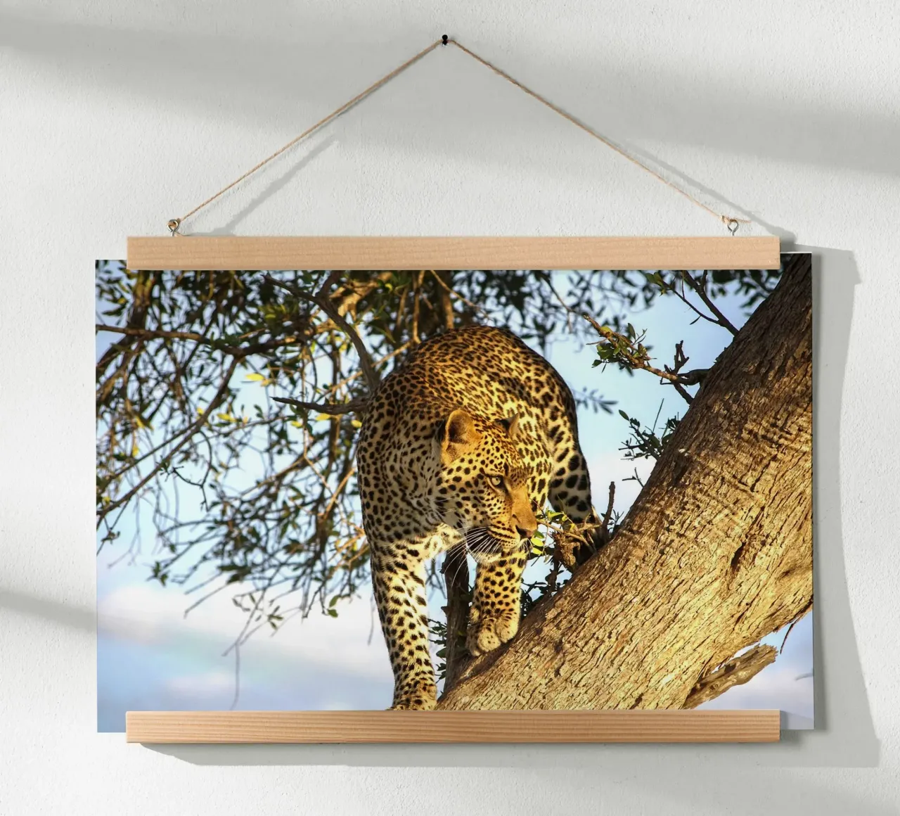 Predatore silenzioso poster con telaio in legno da Nature's Palette