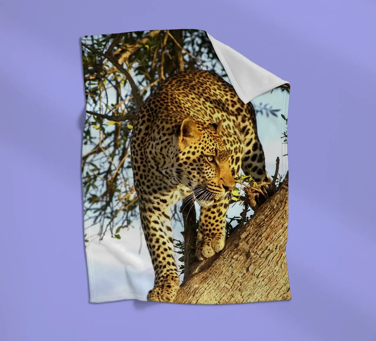 Predatore silenzioso coperta in pile da Nature's Palette