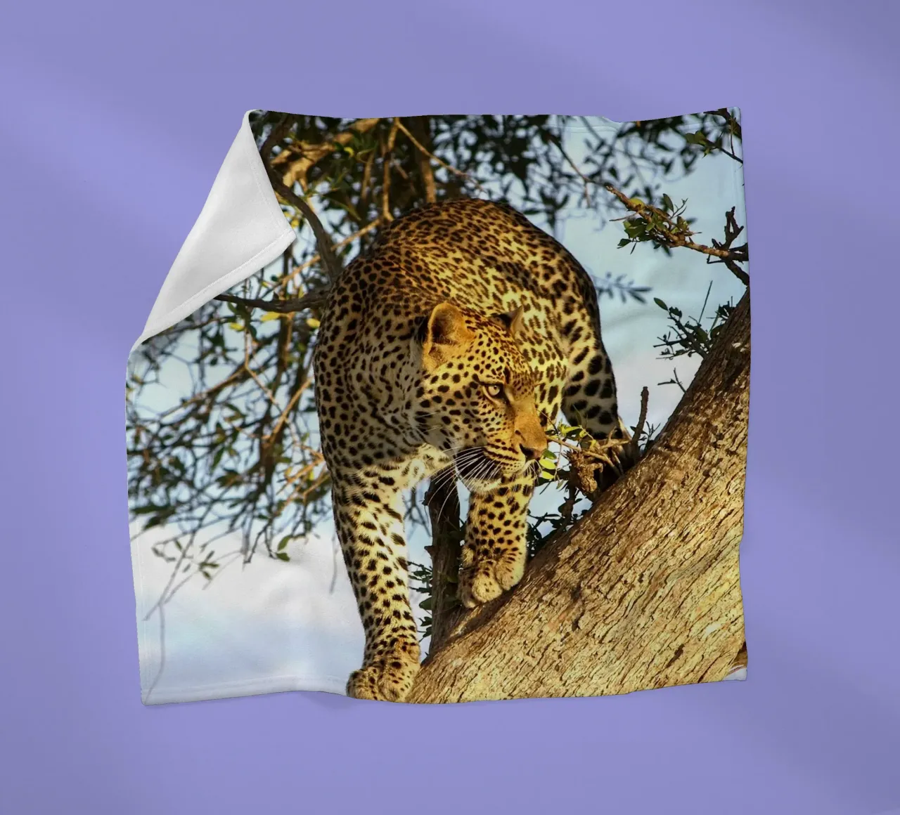 Predatore silenzioso coperta in pile da Nature's Palette