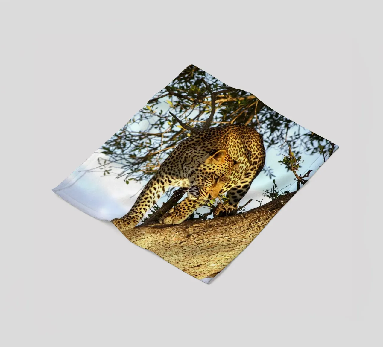 Predatore silenzioso coperta in pile da Nature's Palette