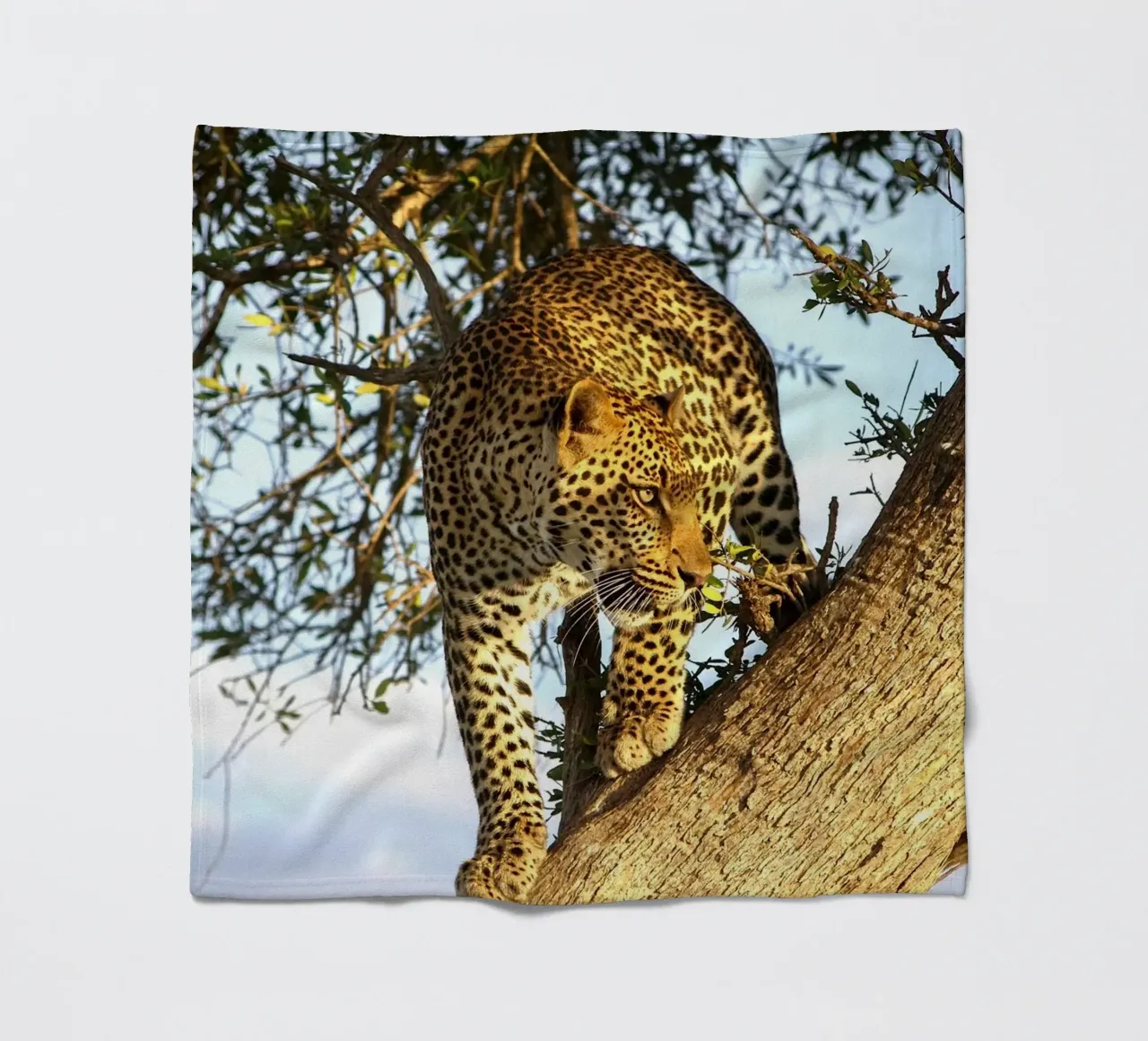 Predatore silenzioso coperta in pile da Nature's Palette