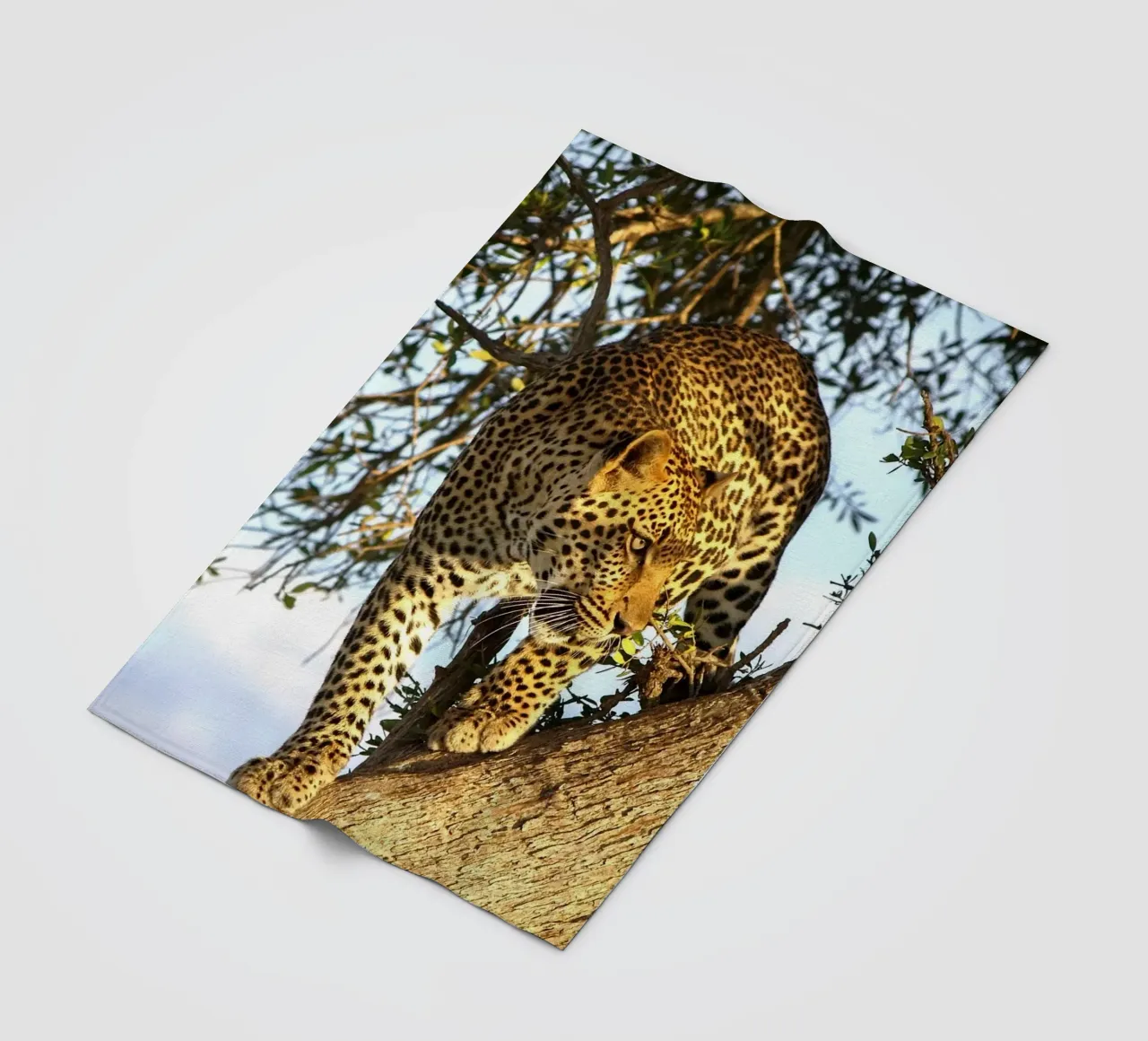 Predatore silenzioso coperta in pile da Nature's Palette