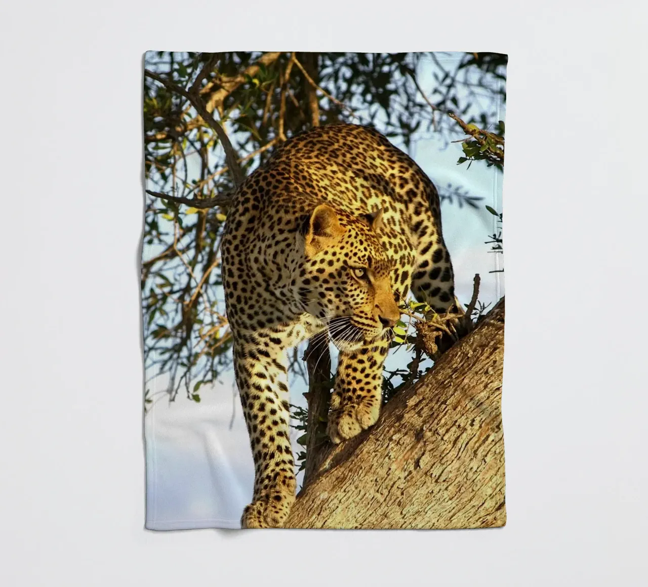 Predatore silenzioso coperta in pile da Nature's Palette