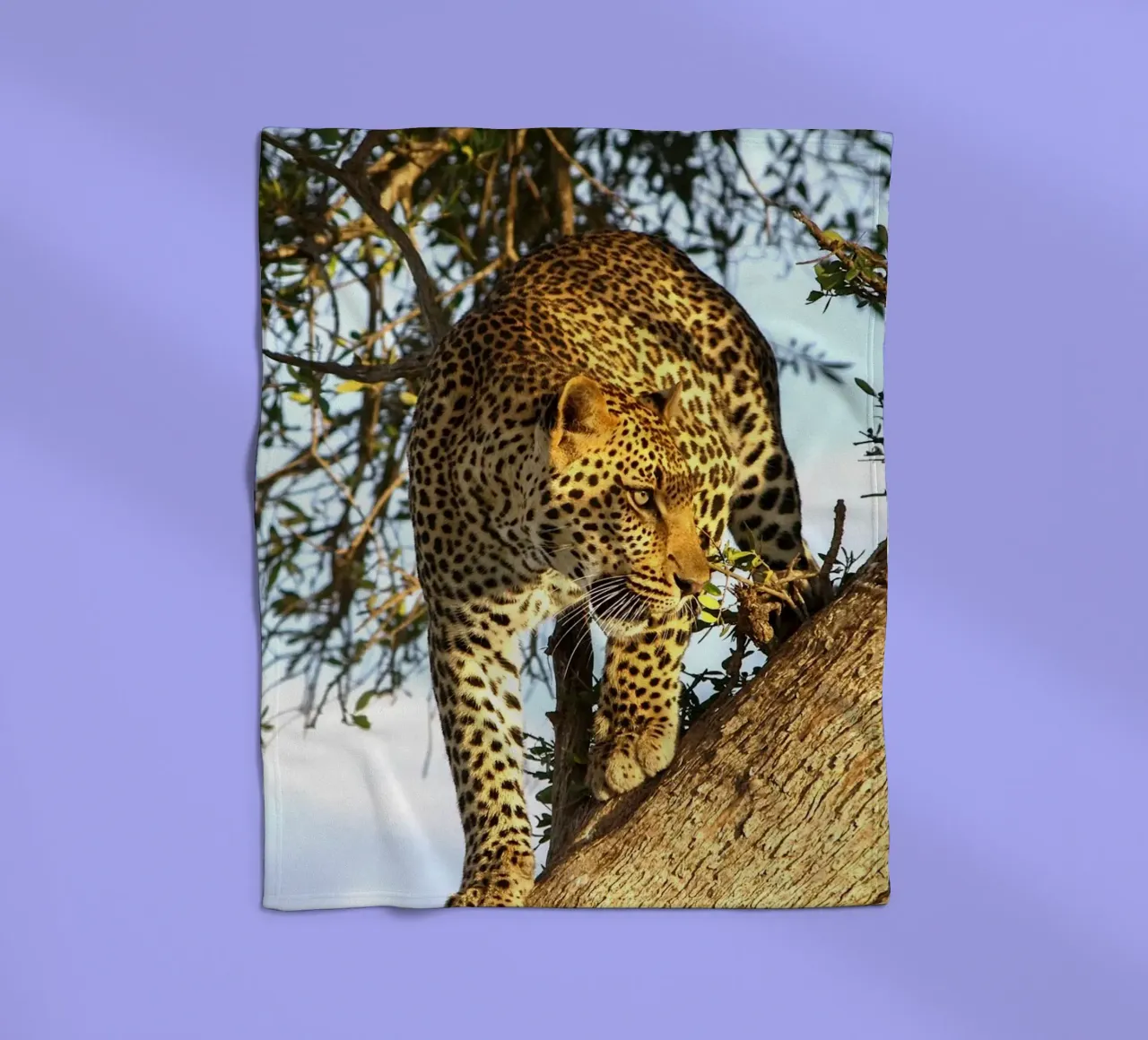 Predatore silenzioso coperta in pile da Nature's Palette