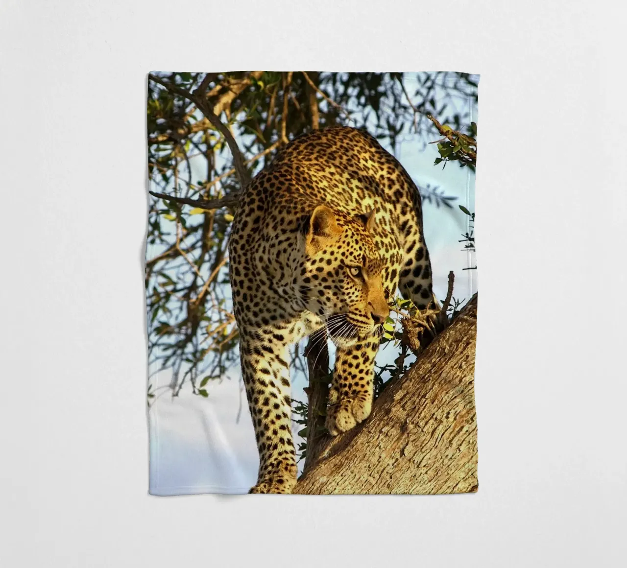 Predatore silenzioso coperta in pile da Nature's Palette