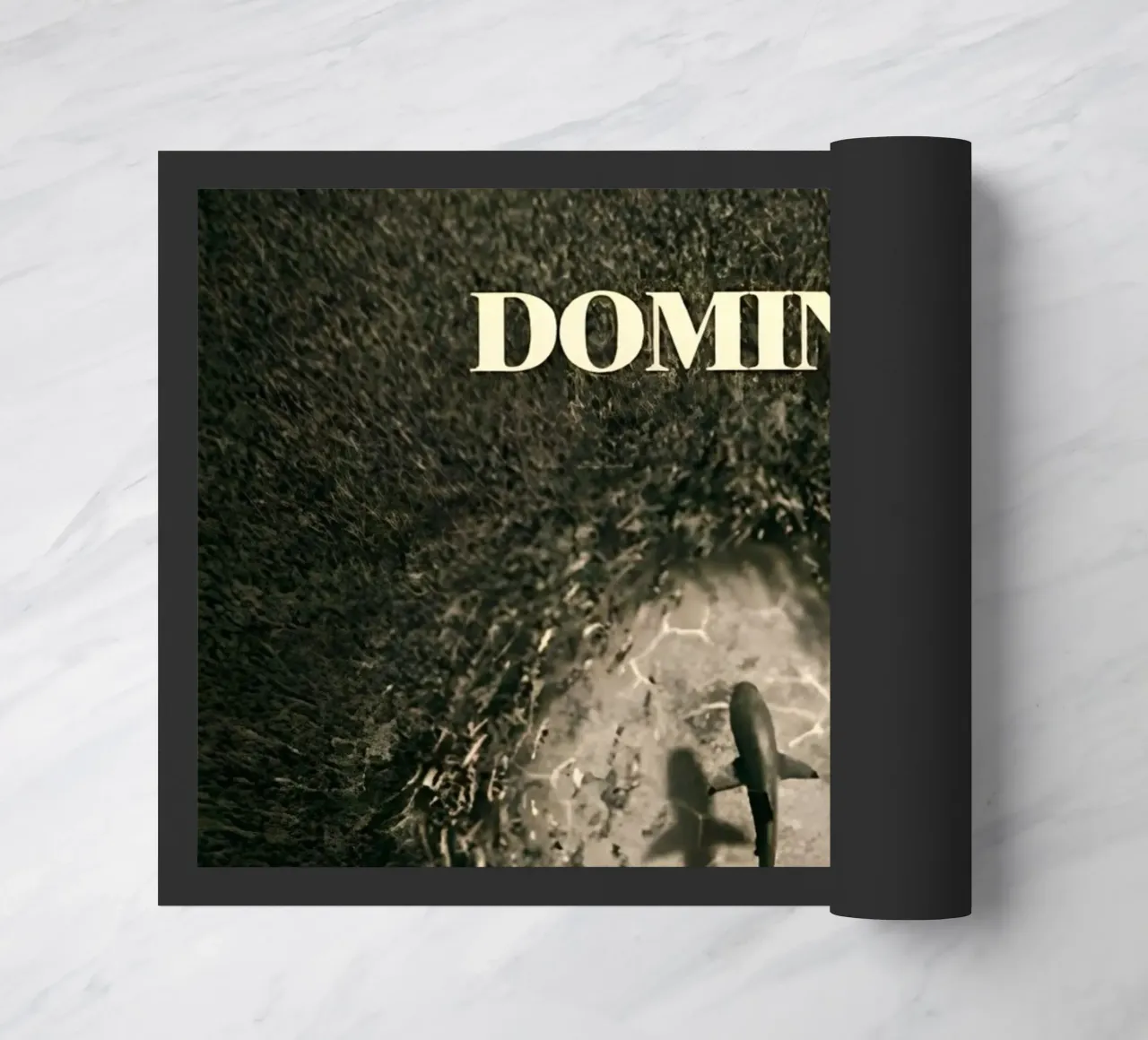 DOMINATE zerbino da Type & Tape