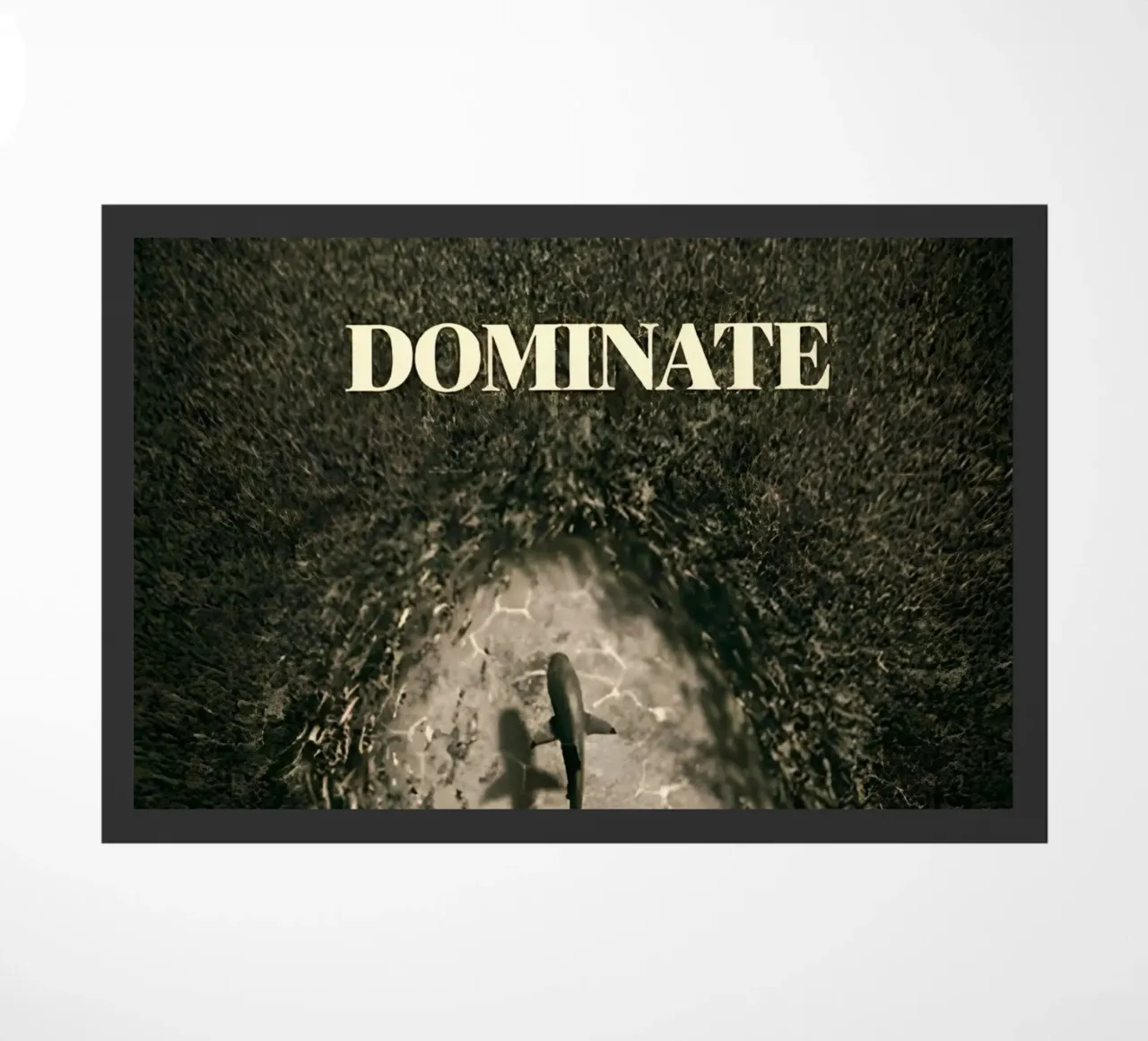 DOMINATE zerbino da Type & Tape