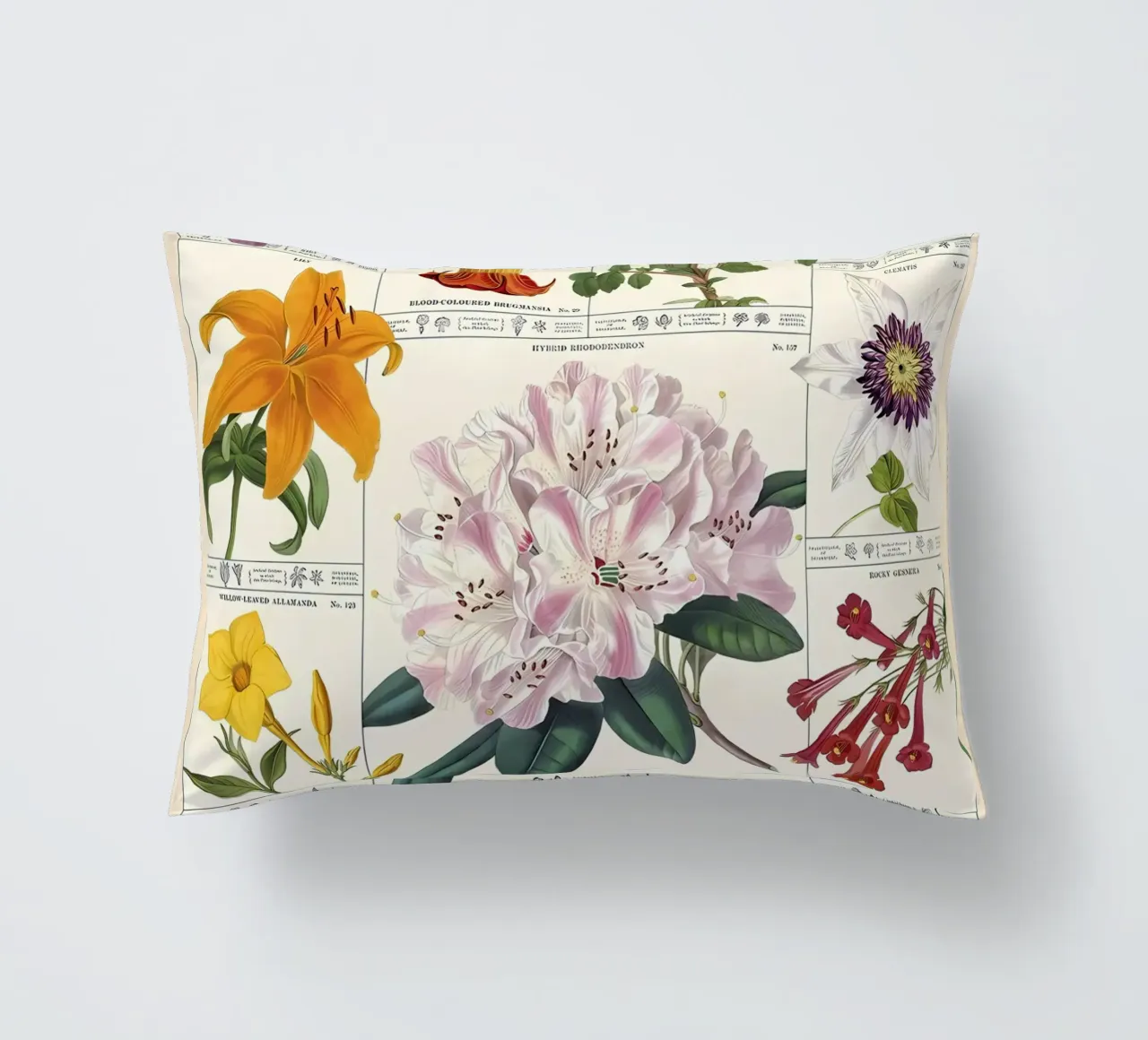 fiore botanico cuscino da Amber Hughes