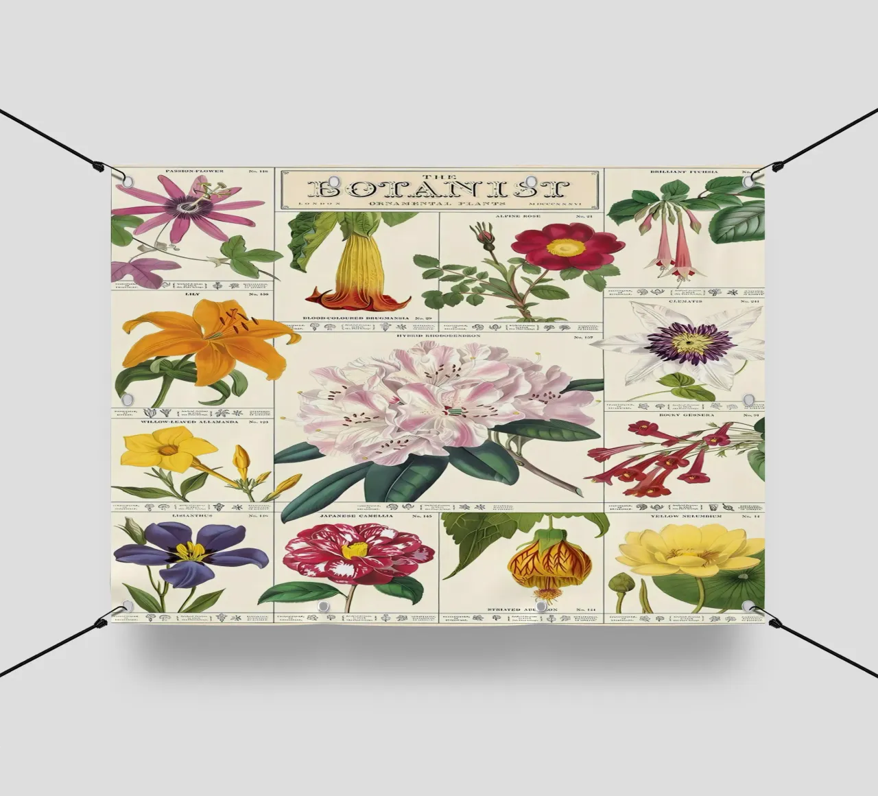 fiore botanico telo in pvc da Amber Hughes