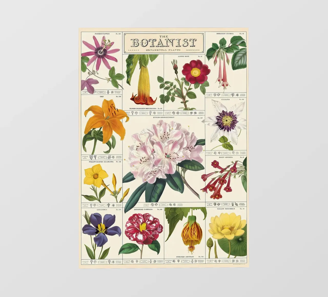 fiore botanico telo in pvc da Amber Hughes