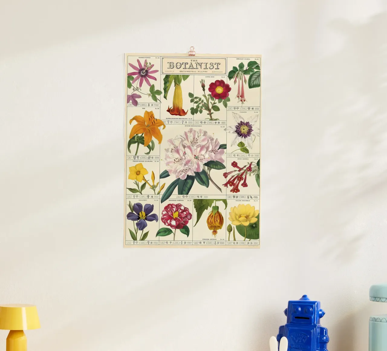 fiore botanico poster da Amber Hughes