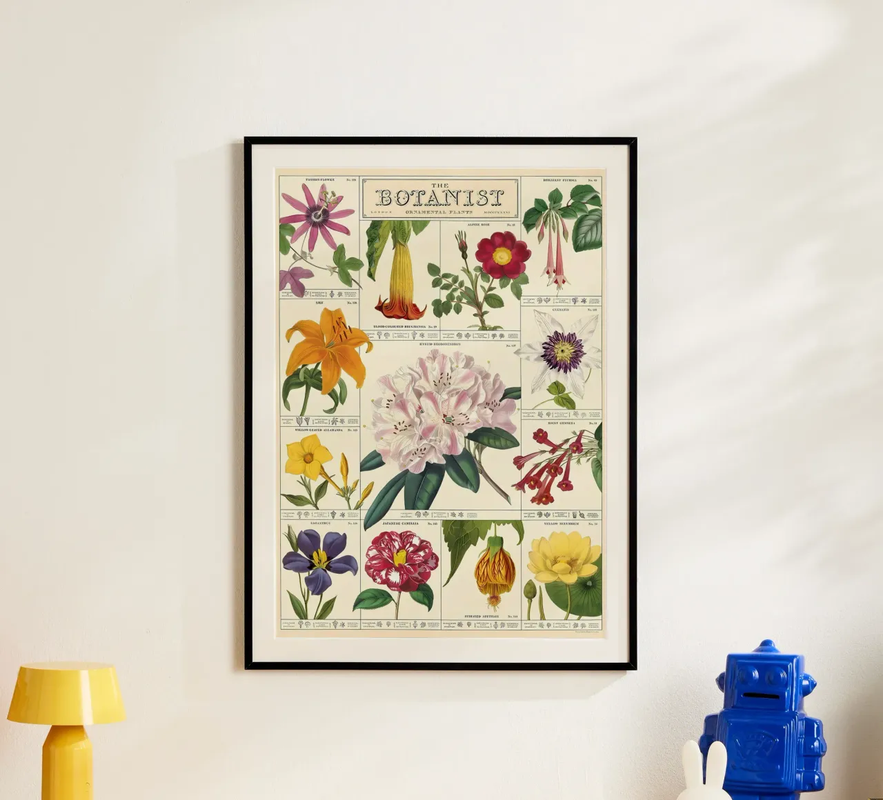 fiore botanico poster da Amber Hughes
