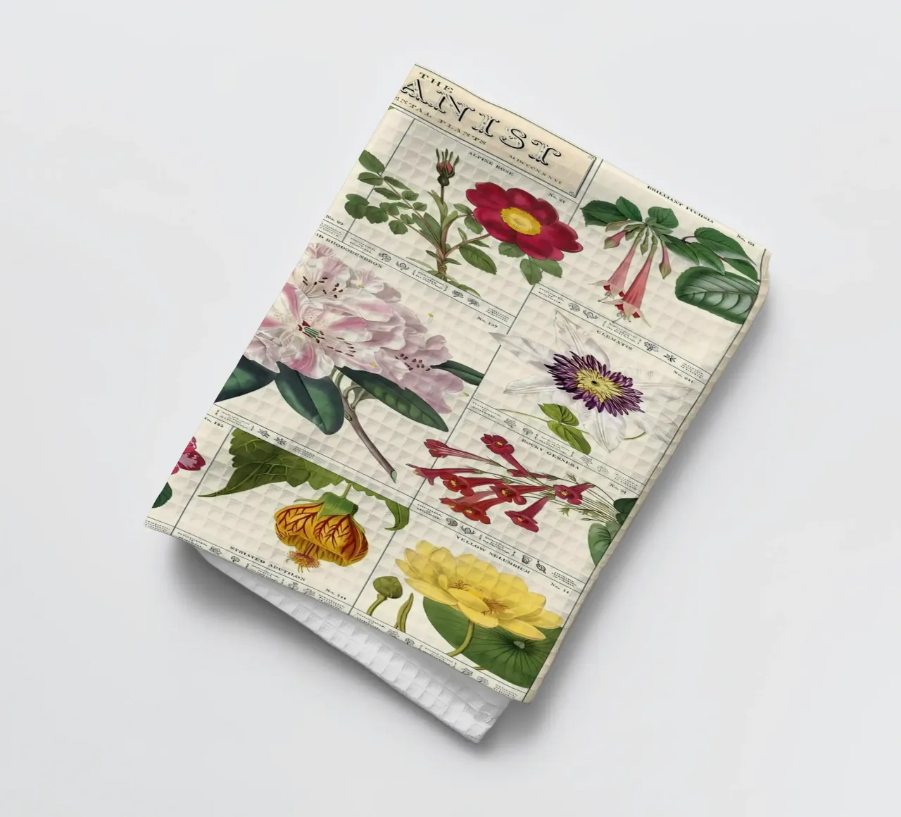 fiore botanico canovaccio da cucina da Amber Hughes